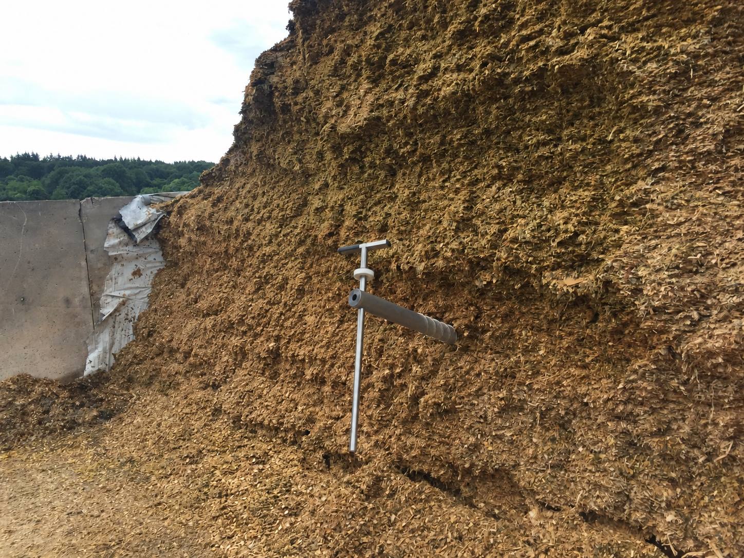 Sonde plantée dans le front d'attaque d'un silo de maïs